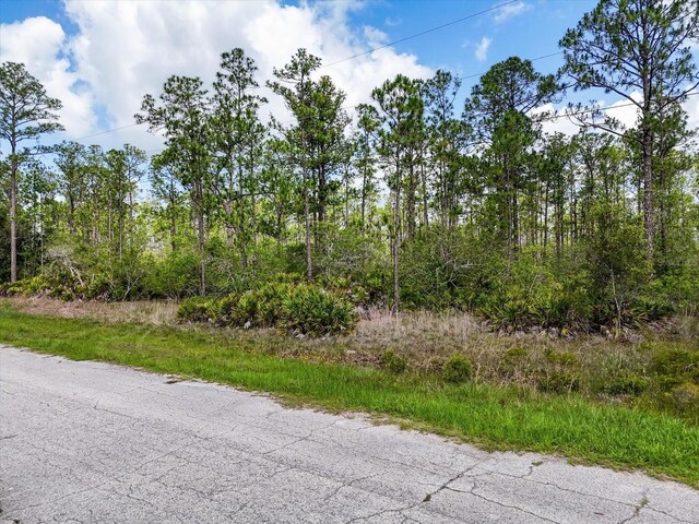 LOT61 Meadow Lark Blvd, Lake Wales, FL 33898 - photo 12