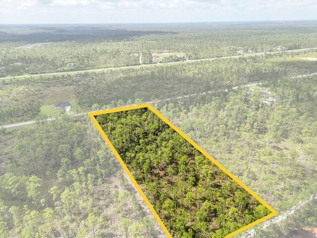 LOT61 Meadow Lark Blvd, Lake Wales, FL 33898 - photo 13