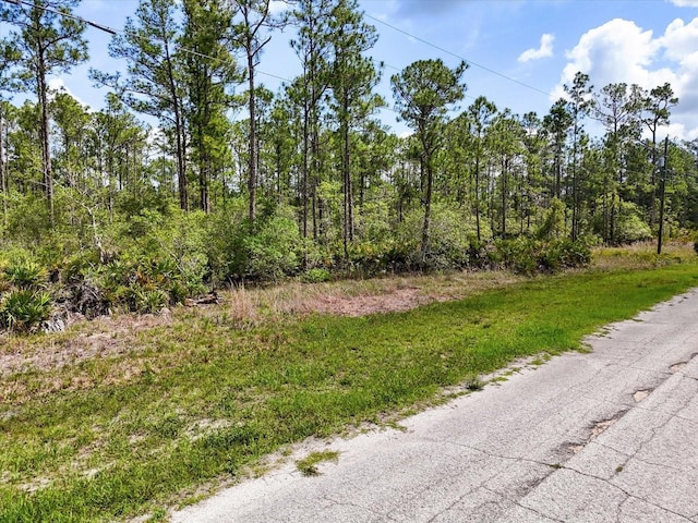 LOT61 Meadow Lark Blvd, Lake Wales, FL 33898 - photo 1