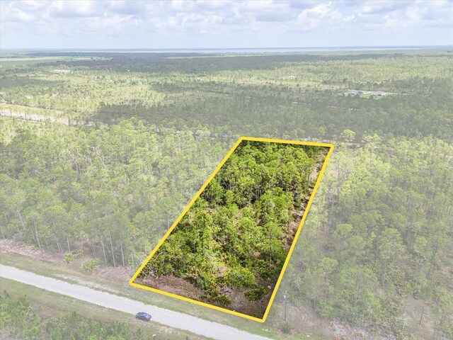LOT61 Meadow Lark Blvd, Lake Wales, FL 33898 - photo 4