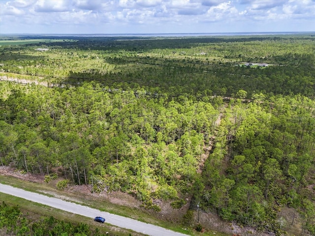 LOT61 Meadow Lark Blvd, Lake Wales, FL 33898 - photo 5