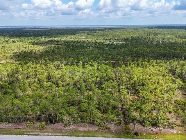 LOT61 Meadow Lark Blvd, Lake Wales, FL 33898 - photo 6