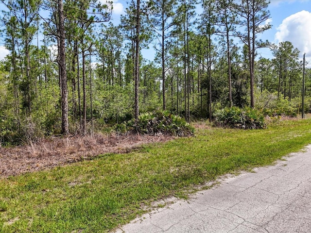 LOT62 Meadow Lark Blvd, Lake Wales, FL 33898