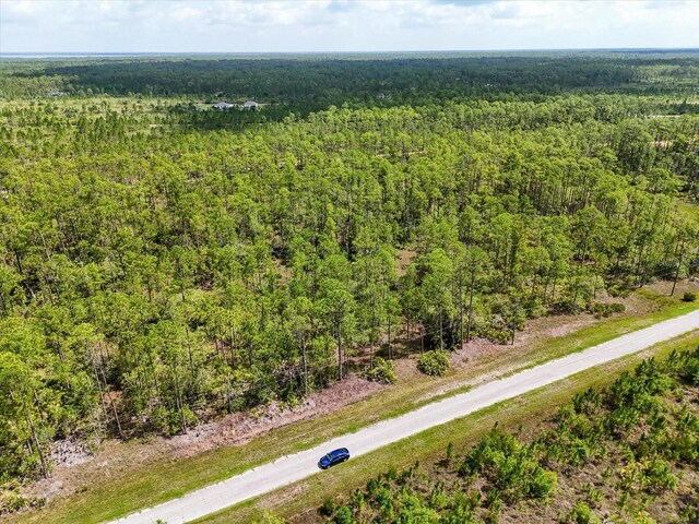 LOT62 Meadow Lark Blvd, Lake Wales, FL 33898 - photo 6