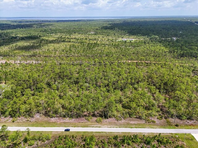 LOT62 Meadow Lark Blvd, Lake Wales, FL 33898 - photo 8