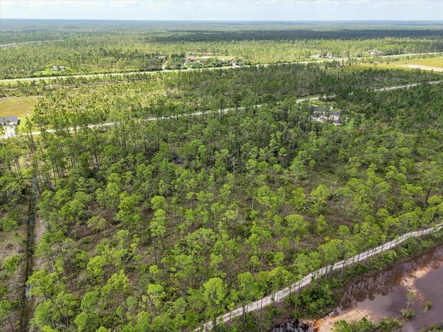 LOT62 Meadow Lark Blvd, Lake Wales, FL 33898 - photo 11