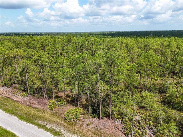 LOT62 Meadow Lark Blvd, Lake Wales, FL 33898 - photo 5