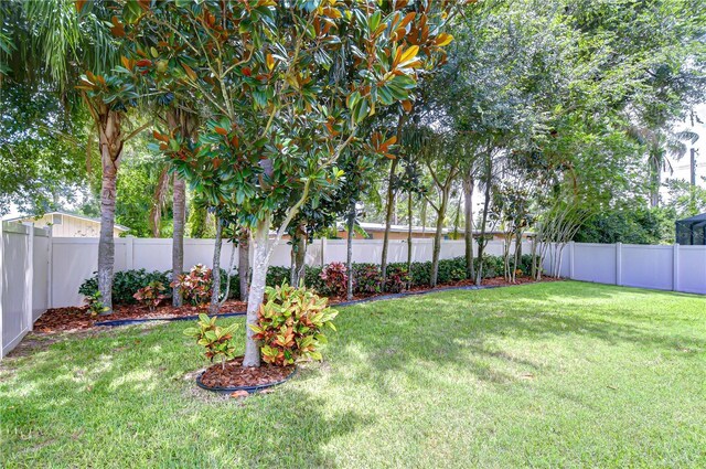 107 Dakota Hill Dr, Seffner, FL 33584 - photo 56