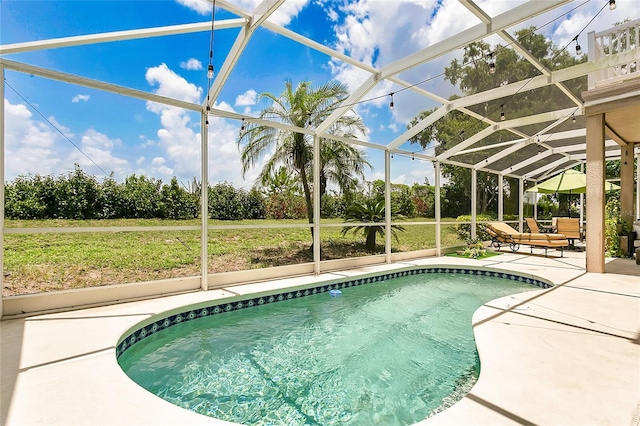 17300 Summer Sun Ct, Clermont, FL 34711 - swimming pool featuring a patio area, a lanai, and a yard