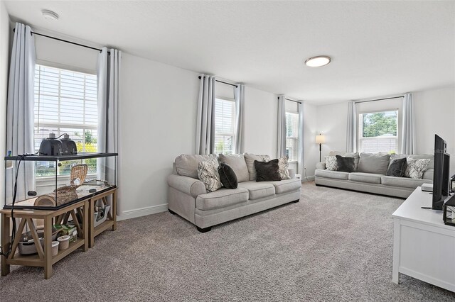 391 Cheeota Ct, Minneola, FL 34715 - carpeted living area featuring baseboards