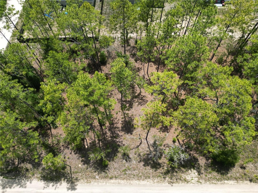 0000 SW 157th Ave, Ocala, FL 34481