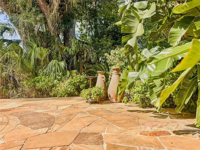 3664 SE 45th Pl, Ocala, FL 34480 - view of patio / terrace