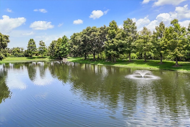 752 Sandy Bar Dr, Winter Garden, FL 34787 - water view with a tree filled landscape