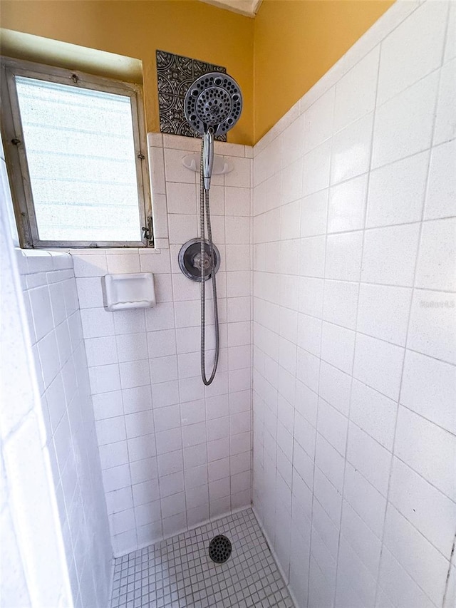100 W Idlewild Ave, Eustis, FL 32726 - bathroom with tiled shower