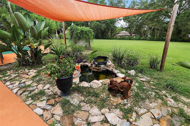 672 E Belt Ave, Bushnell, FL 33513 - view of green lawn