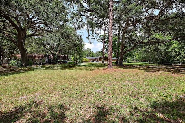 672 E Belt Ave, Bushnell, FL 33513 - view of green lawn