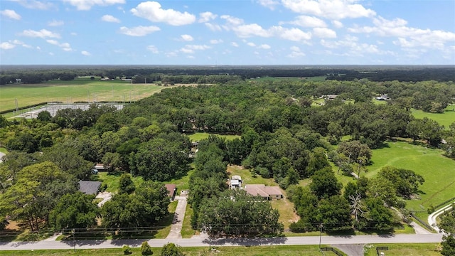 672 E Belt Ave, Bushnell, FL 33513 - aerial view of a forest