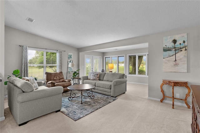 1815 Kaufman Cir, Lady Lake, FL 32159 - living room featuring healthy amount of natural light, carpet flooring, a textured ceiling, and lofted ceiling