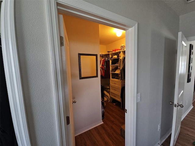 9785 Pepper Tree Trl, Wildwood, FL 34785 - hall with wood finished floors and baseboards