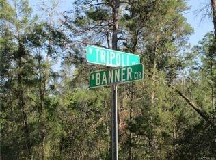 6640 N Tripoli Ter, Dunnellon, FL 34433