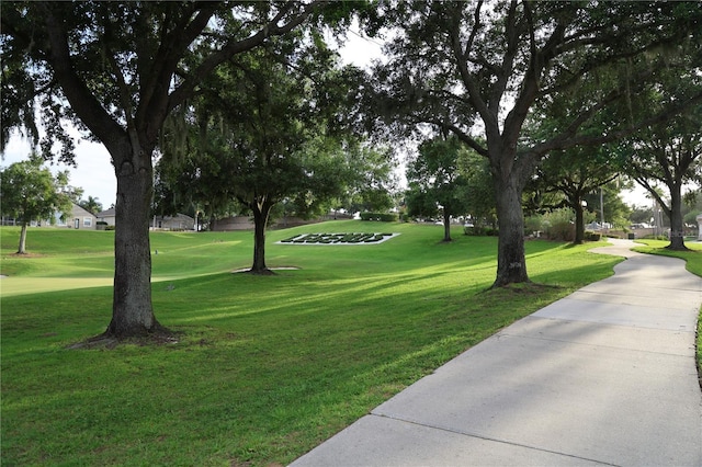 1355 Misty Glen Ln, Clermont, FL 34711 - view of property's community featuring a yard