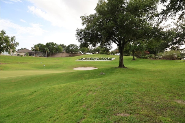 1355 Misty Glen Ln, Clermont, FL 34711 - surrounding community with a yard