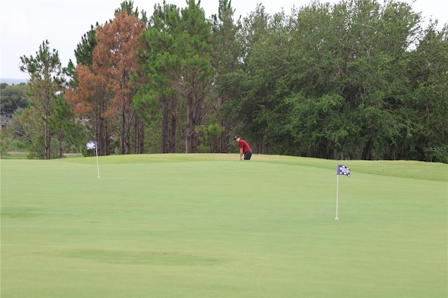 1355 Misty Glen Ln, Clermont, FL 34711 - view of home's community featuring a putting green, view of scattered trees, and golf course view