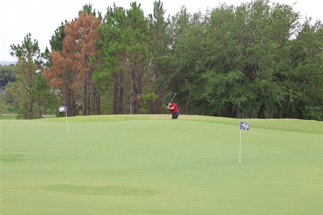 1355 Misty Glen Ln, Clermont, FL 34711 - view of home's community with a putting area, view of golf course, and view of scattered trees