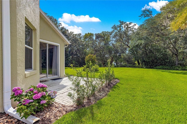 8045 Waterbury Way, Mount Dora, FL 32757 - view of green lawn featuring a patio and view of scattered trees