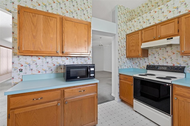 206 Palermo Pl, Lady Lake, FL 32159 - kitchen with range with electric stovetop, wallpapered walls, under cabinet range hood, black microwave, and light countertops