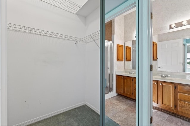 206 Palermo Pl, Lady Lake, FL 32159 - bathroom featuring vanity, a walk in closet, and a shower stall