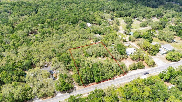 Crk 656, Webster, FL 33597