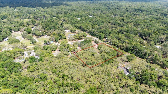 Crk 656, Webster, FL 33597