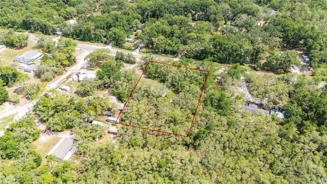 Crk 656, Webster, FL 33597