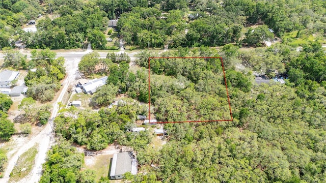 Crk 656, Webster, FL 33597