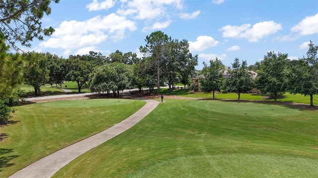16862 SE 80th Bellavista Cir, The Villages, FL 32162 - photo 48