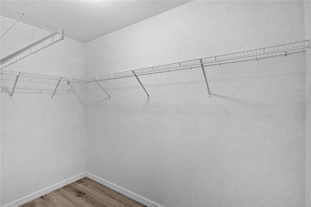 14631 SE 95th Ct, Summerfield, FL 34491 - walk in closet with wood finished floors