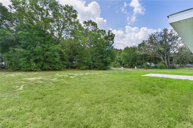 14611 SE 95th Ct, Summerfield, FL 34491 - view of green lawn