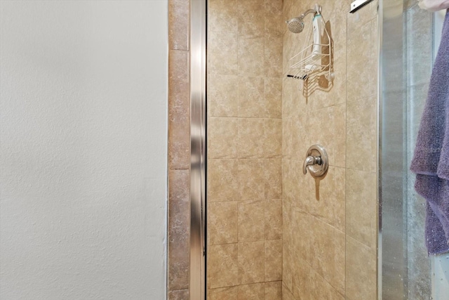 11770 W Sunnybrook Ct, Crystal River, FL 34429 - bathroom view of a stall shower and a textured wall
