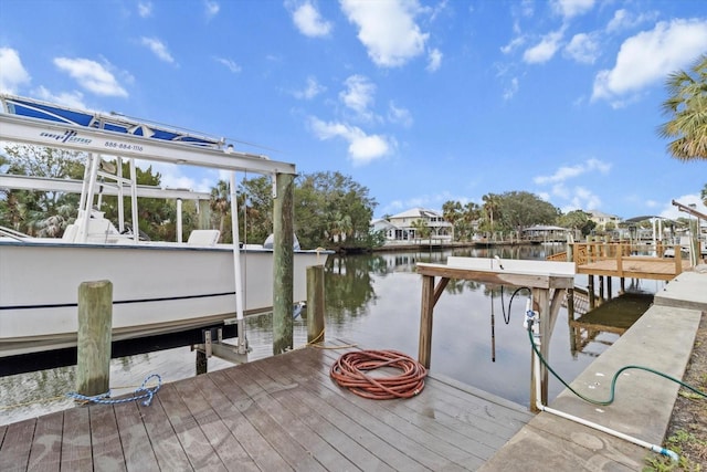 11770 W Sunnybrook Ct, Crystal River, FL 34429 - dock with boat lift and a water view