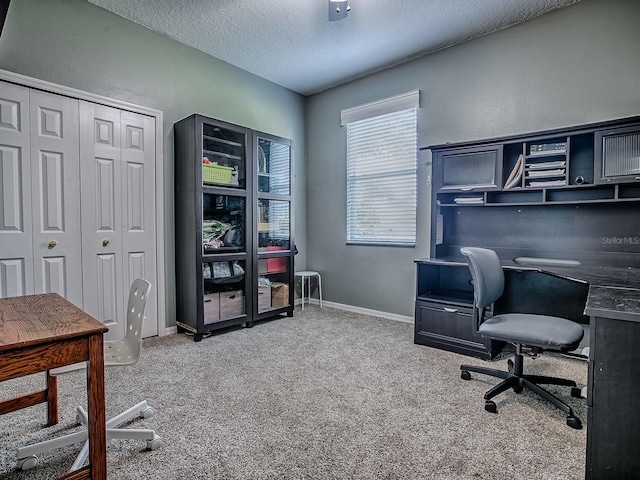 359 Blue Branch St, Eustis, FL 32736 - office area featuring a textured ceiling and carpet floors