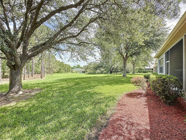 101 Flame Vine Way, Groveland, FL 34736 - view of green lawn