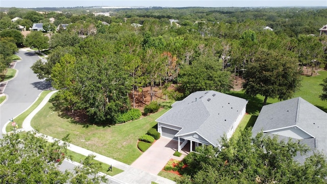 101 Flame Vine Way, Groveland, FL 34736 - aerial view of a forest