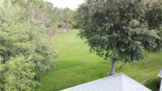 101 Flame Vine Way, Groveland, FL 34736 - view of grassy yard