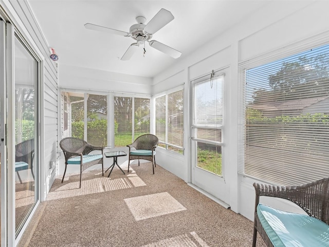 512 Galloway Ct, Leesburg, FL 34788 - photo 28