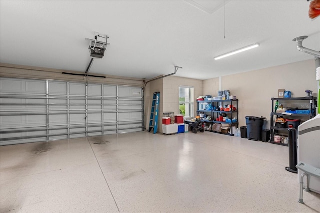 4210 Arlington Ridge Blvd, Leesburg, FL 34748 - garage with a garage door opener