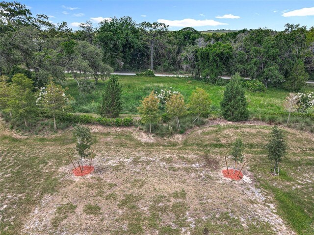 6946 Perch Hammock Loop, Groveland, FL 34736 - photo 34