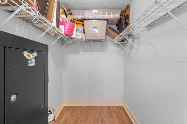 204 Lori Ct, Umatilla, FL 32784 - walk in closet with wood finished floors