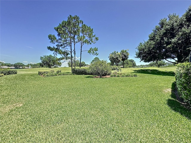3716 Eversholt St, Clermont, FL 34711 - view of grassy yard