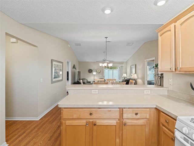 2369 Five Forks Trl, The Villages, FL 32162 - kitchen featuring a peninsula, light wood finished floors, light countertops, open floor plan, and vaulted ceiling